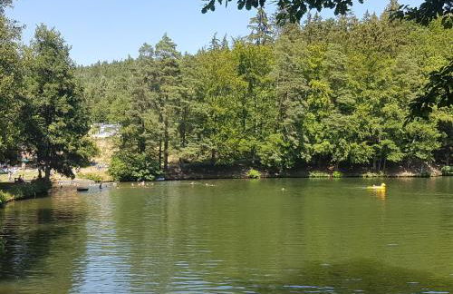 Ferienhaus am Badesee Schönsee Bungalow 12 - Foto 24