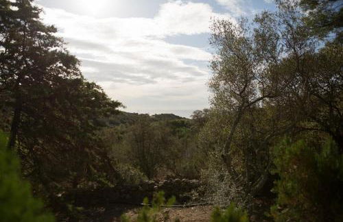 Villa Lavezzi F2 2-4 pers Rondinara, Bonifacio - Foto 2