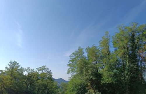 Agriturismo La Collina delle Api - Foto 57