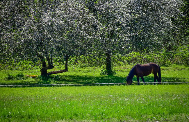 Relax & Play - Foto 64