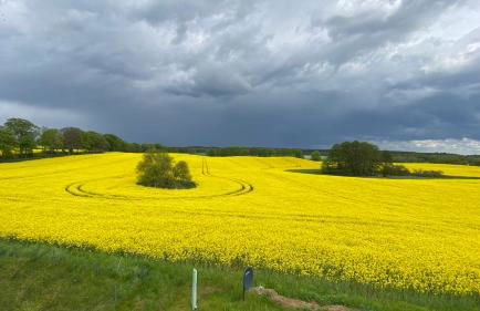 Kranichblick - Foto 11