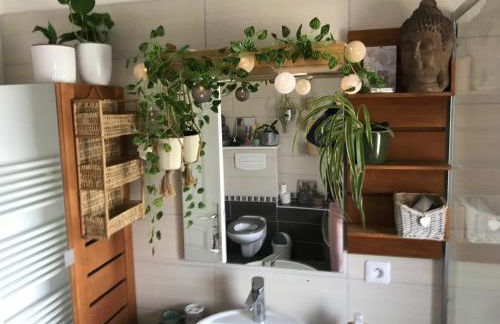 Côté Rive, au bord de la rivière La Moselotte et terrasse - Foto 29