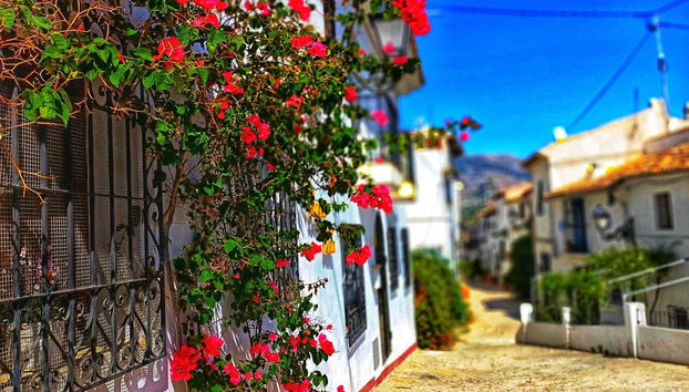 Tour in Altea - Photo 2