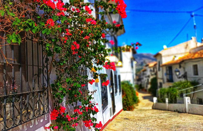 Free tour por Altea - Foto 2