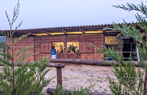 Apartment Tenuta Beatrice by Interhome - Foto 36