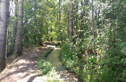 Le Skisun - Altitude 1800 - Puy Saint Vincent - Massif et Parc national des Ecrins - Foto 30