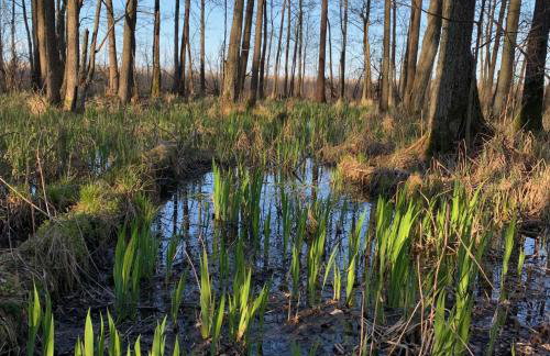 Ublik Stacja - Foto 60