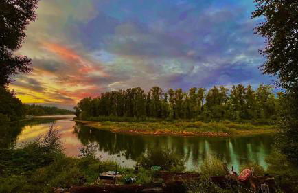 Blue Heron Sanctuary & Serene, river-front cottage - Foto 1