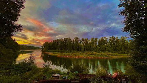 Blue Heron Sanctuary & Serene, river-front cottage - Foto 1