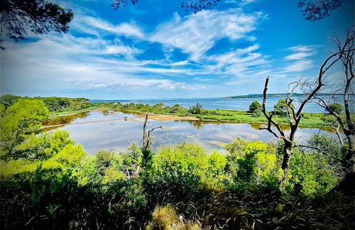 Le zéphyr - Foto 33