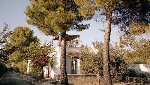 Casette Masseria La Camardia - Foto 3