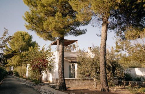 Casette Masseria La Camardia - Foto 3