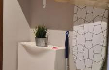 Musa Paradisiaca - Foto 31