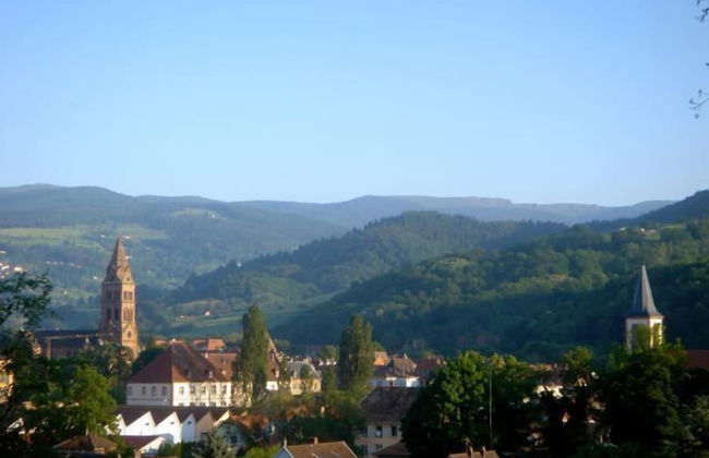 Appartements Maison Bellevue - Photo 45