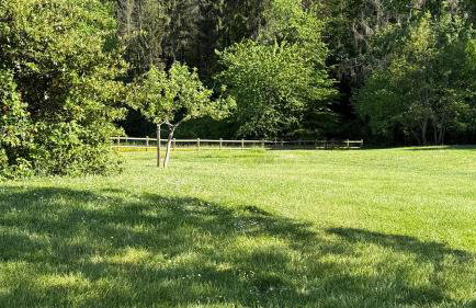 Logement entier de charme, gite équestre GERS Flamarens - Foto 7