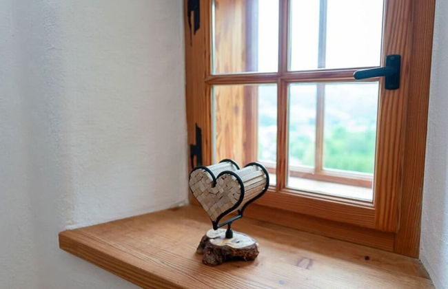 Infanglalm "traunsee" - Foto 29