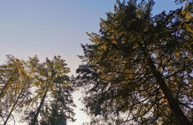 Stylish Stay in Vorden Woods - Foto 40