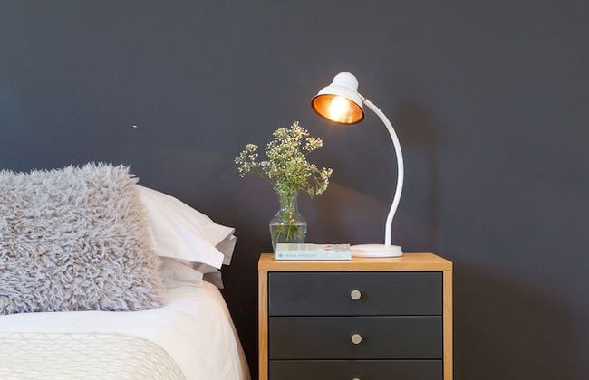 WINK Quiver Tree - Foto 51