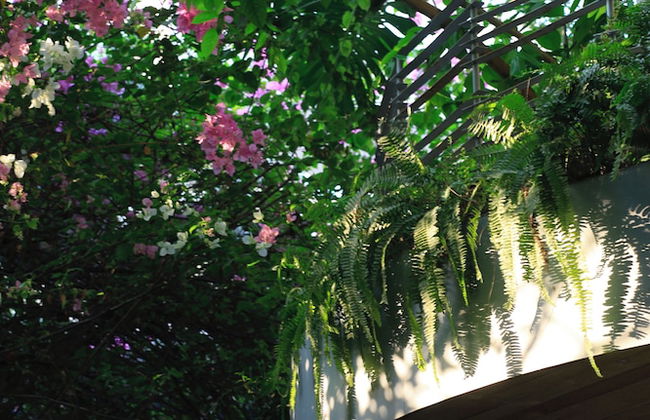 CityHouse - CityOasis - Foto 54