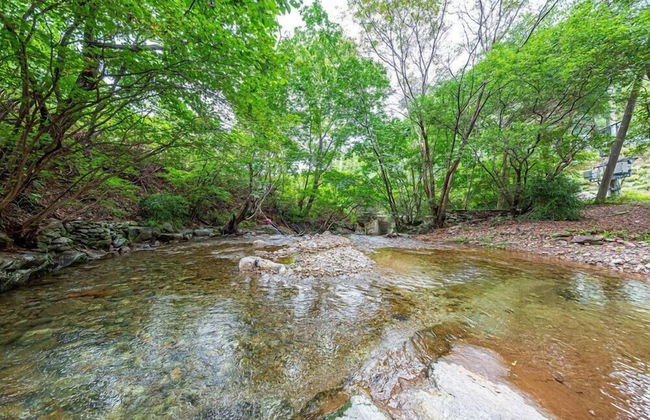 Vivaldi white house in vally - Foto 53