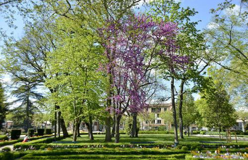 Appart Hôtel Albi - Foto 34