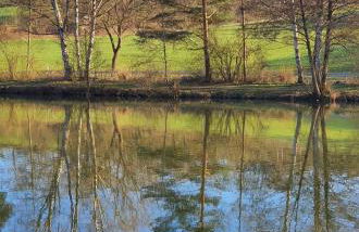 Kleinod am Kurpark - Foto 5