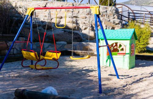 Finca 13 Ramas - Photo 13