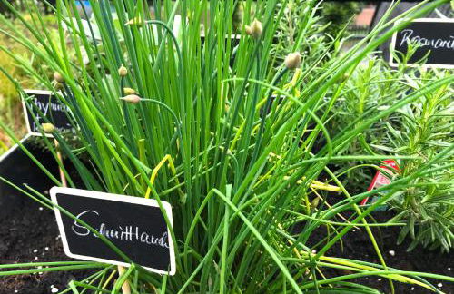 Haus Westfeld - Foto 30