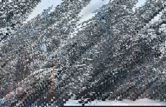 La Veranda - Photo 34