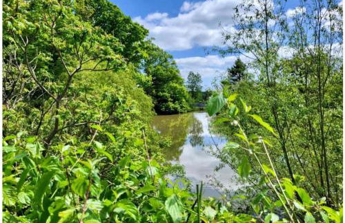 Park Farm Chalet - Foto 7