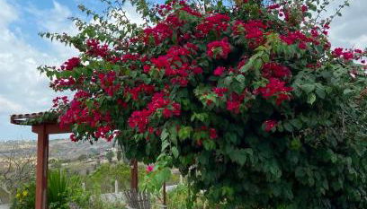 Pousada Monte das Serras - Foto 4