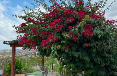 Pousada Monte das Serras - Foto 4
