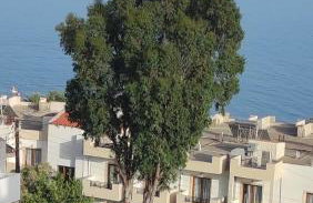 Alkinoi and kalistό studio suites in South Crete Tsoutsouros - Photo 60