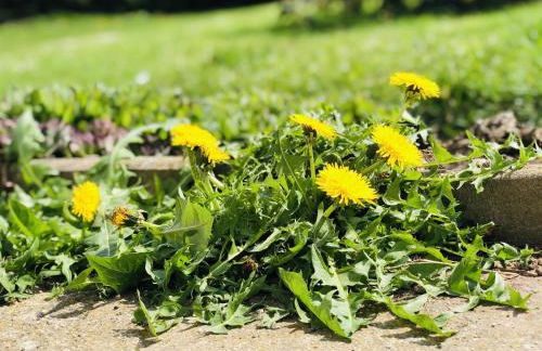 Ferienwohnungen Britta Heim - Photo 80