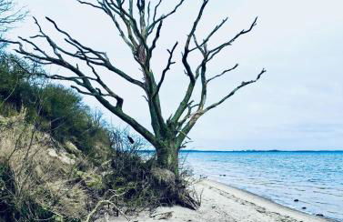 Ferienhaus am Strand - Foto 38