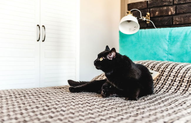 MalinaApt Mushka - Foto 21