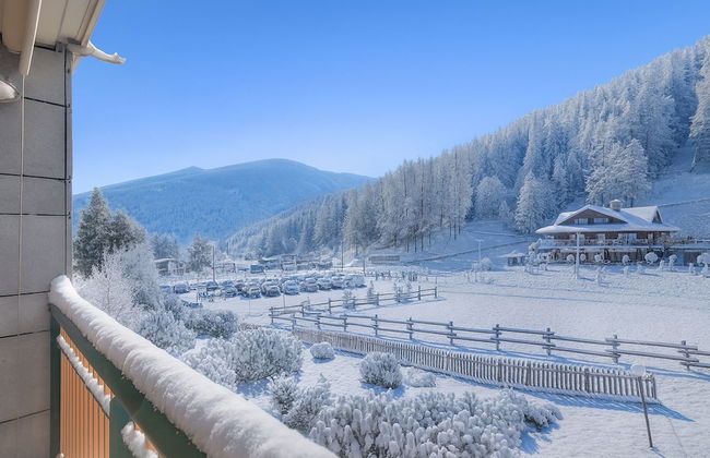 La Primula - Foto 22