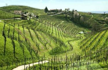 Locazione turistica Gravetta - Foto 20