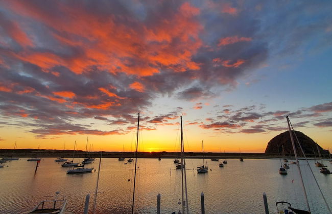 Gray's Inn & Gallery - Foto 58