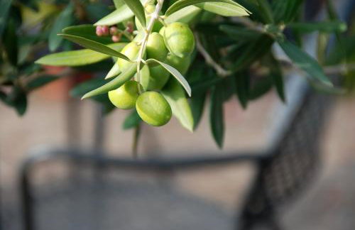 Hotel - Appartements Schmied Hans - Photo 80