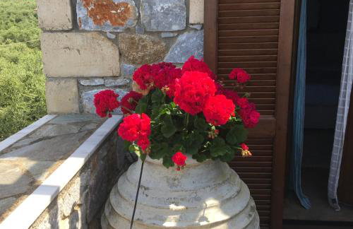 Small paradise in Saint Nicolas Village ! - Foto 34