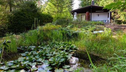 Ferienwohnung - Nähe Kaiserslautern - Foto 4, Garden