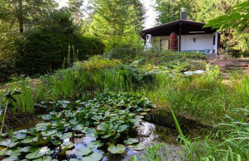 Ferienwohnung - Nähe Kaiserslautern - Foto 4