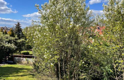 Apartament Skórcz Kociewie Pomorze Gdańskie Agroturystyka - Foto 36