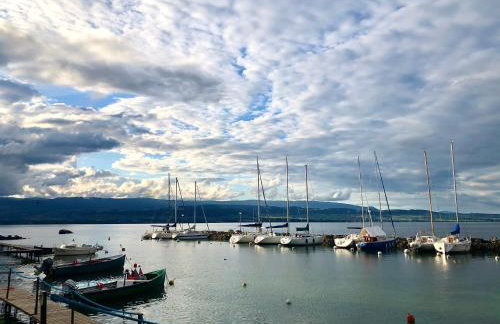 A Room with a View - Maisonnette dans bourg médiéval au bord du Lac Léman - Foto 21
