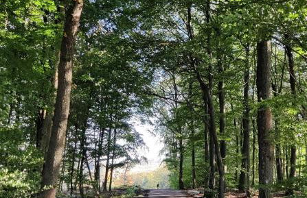 Ferienwohnung, 55qm - Foto 40