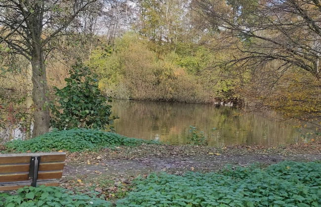 Ferienwohnung in Bissendorf - Foto 20