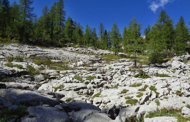 Balmy Apartment in Bohinjsko Jezero near Lake - Foto 28