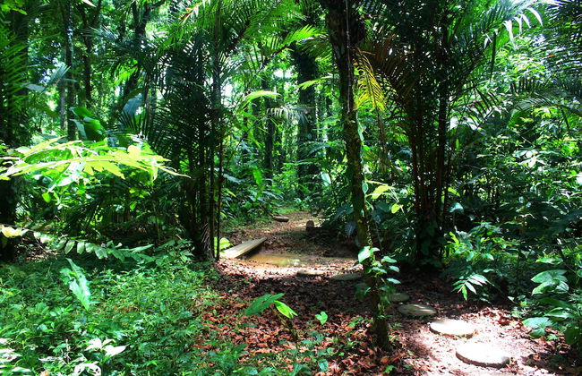 Casa Cerise - Foto 53