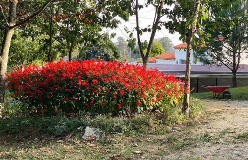 Casa do Carvalhal - Quinta do Soldado - Foto 39